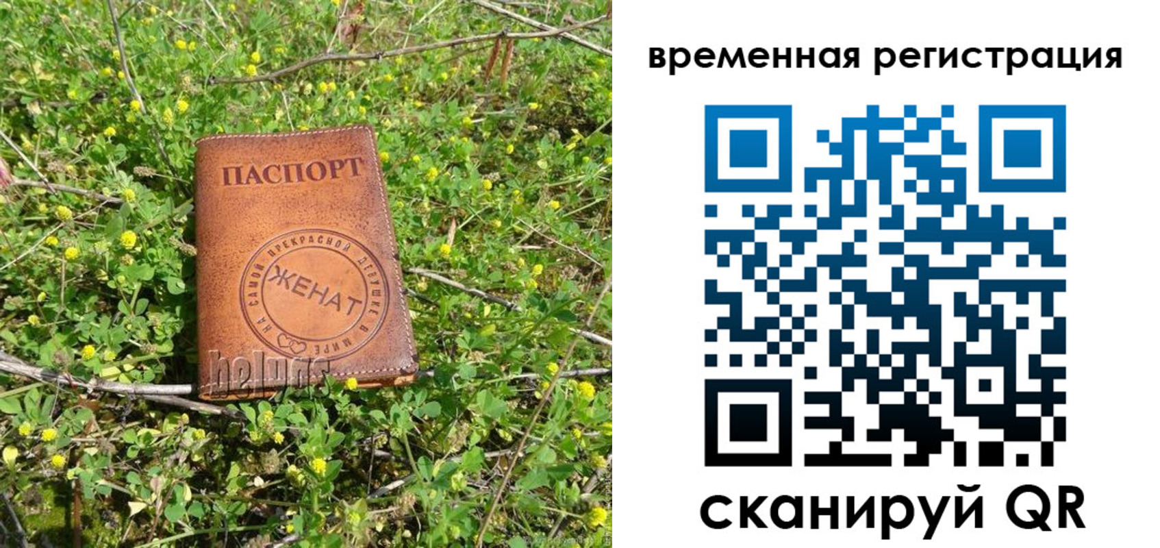 прописка регистрация в Новом Осколе